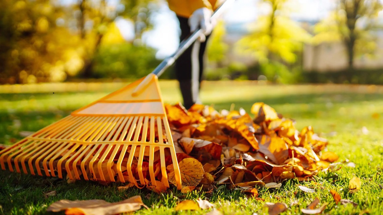 Seasonal Gardening Tips: When and How to Use a Garden Rake